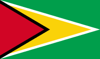 Flag of Guyana